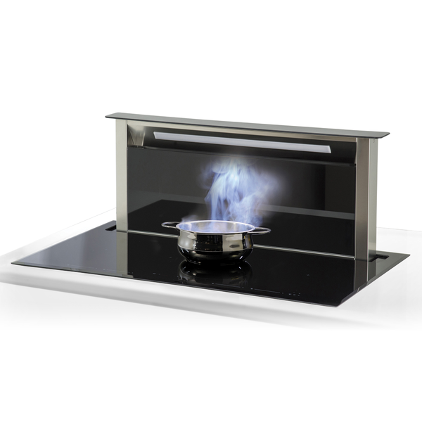 induction cooktop with integrated downdraft